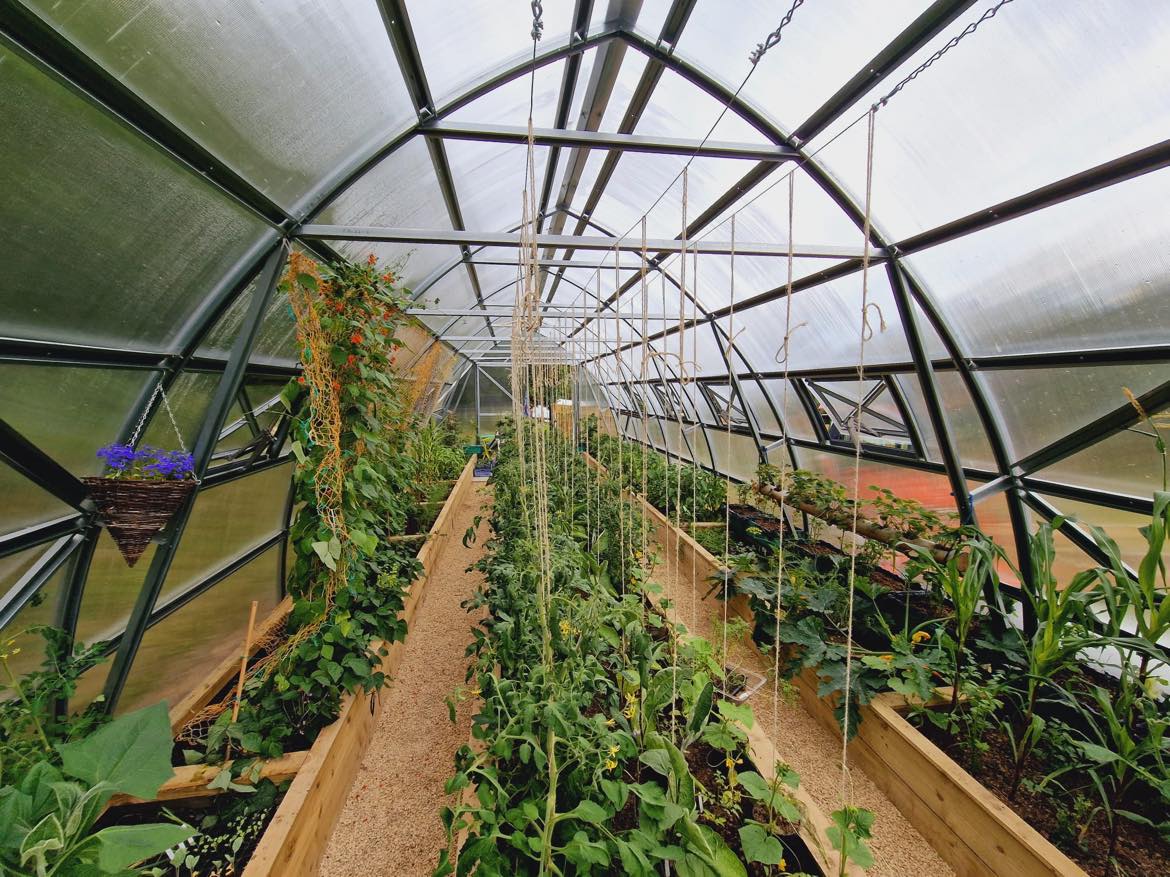 FARMER 5 (53M² - 5M X 10.6M; 16.4FT X 34.8FT)