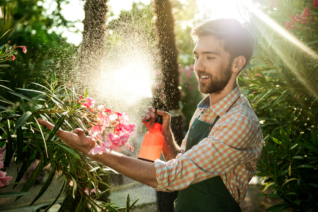 Maximizing Your Greenhouse Potential This June