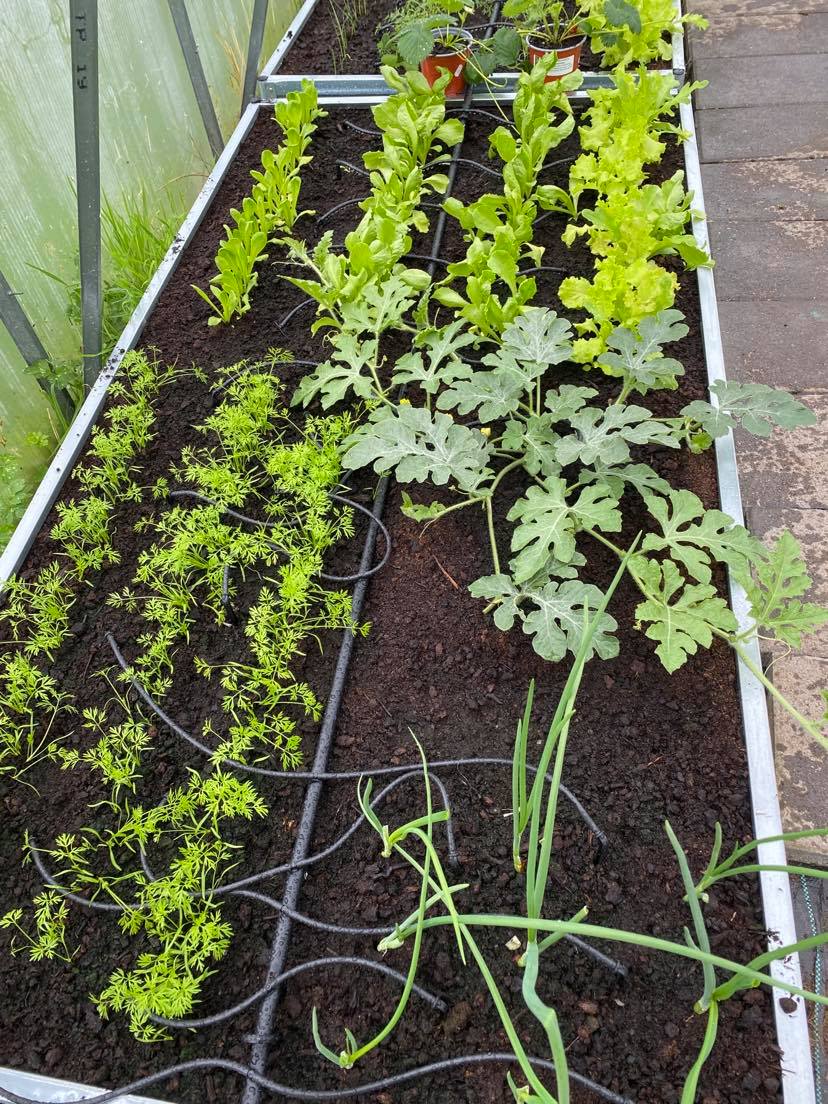 AQUADROP WATER DRIP SYSTEM (Mains)