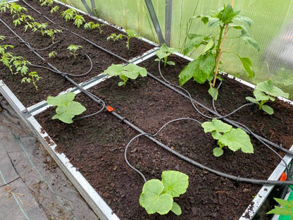 AQUADROP WATER DRIP SYSTEM (Mains)
