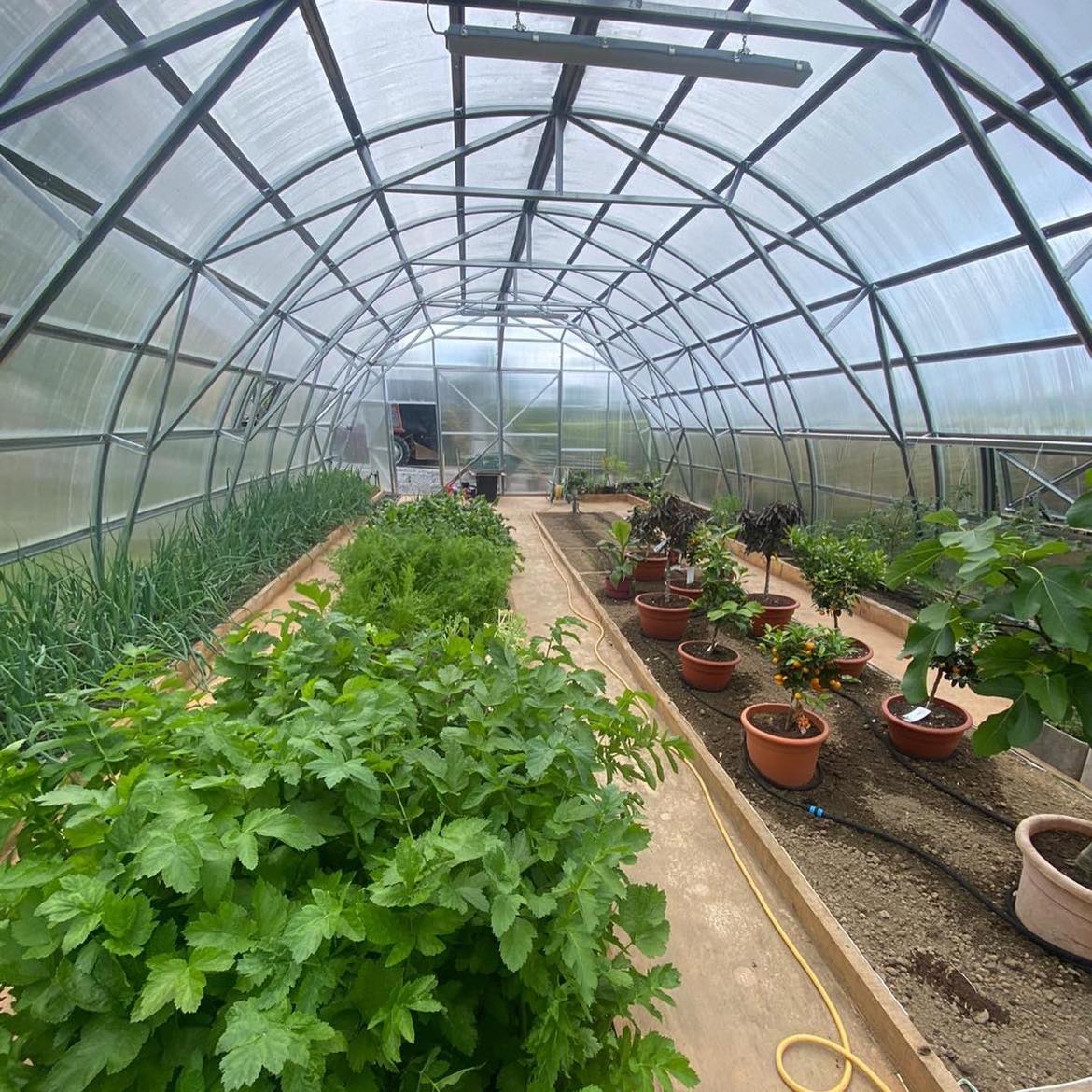 FARMER 7.5 (31.5M² - 7.5M X 4.2M; 24.6FT X 13.8FT)