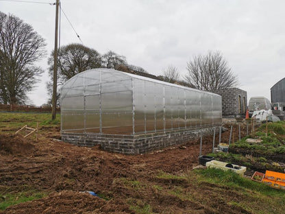 GREENHOUSE PRIMA-4 48 M² (4M X 12M; 13FT X 39.4FT)/ 6mm