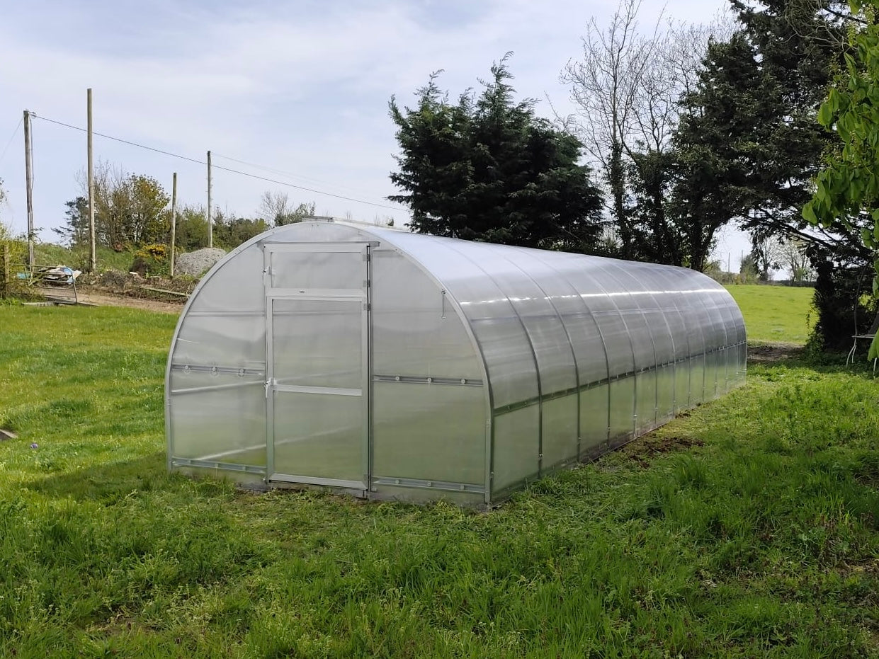 STRONG PREMIUM, 36 M² (3M X 12M; 9.8FT X 39.4FT)