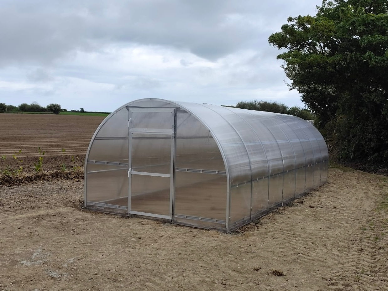STRONG PREMIUM, 36 M² (3M X 12M; 9.8FT X 39.4FT)