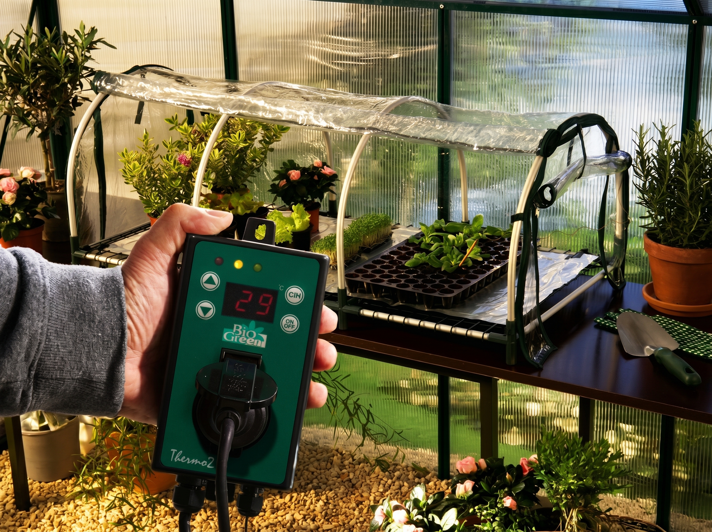 Jumbo Propagator XXL with Heating Mat and Digital Thermostat