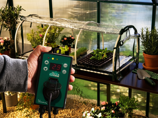Jumbo Propagator XXL with Heating Mat and Digital Thermostat