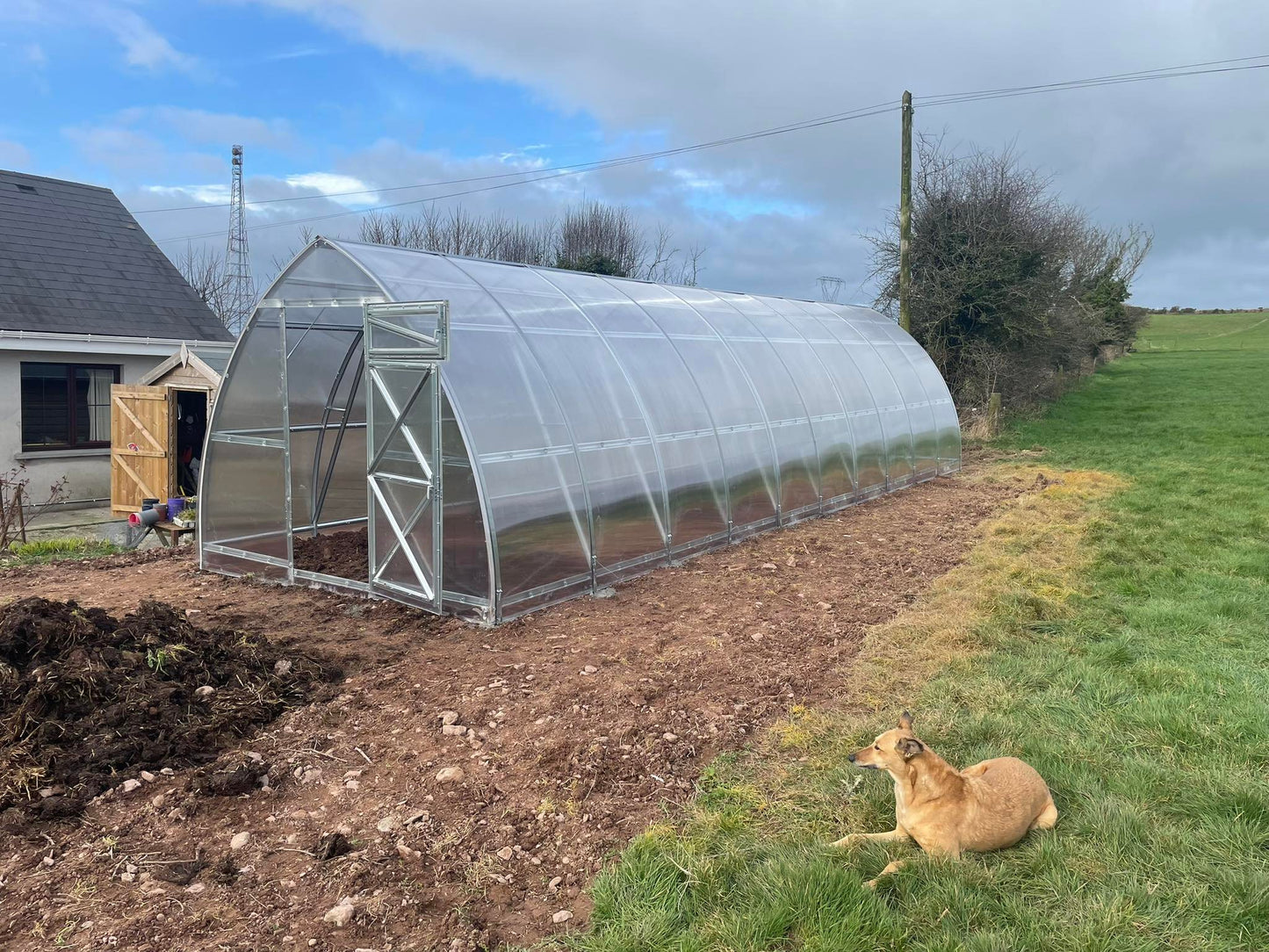 GREENHOUSE SUNGROW, 30M² (3M X 10M; 9.8FT X 33FT)