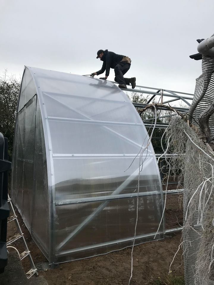 FARMER 5 (31.5M² - 5M X 6.3M; 16.4FT X 20.7FT)