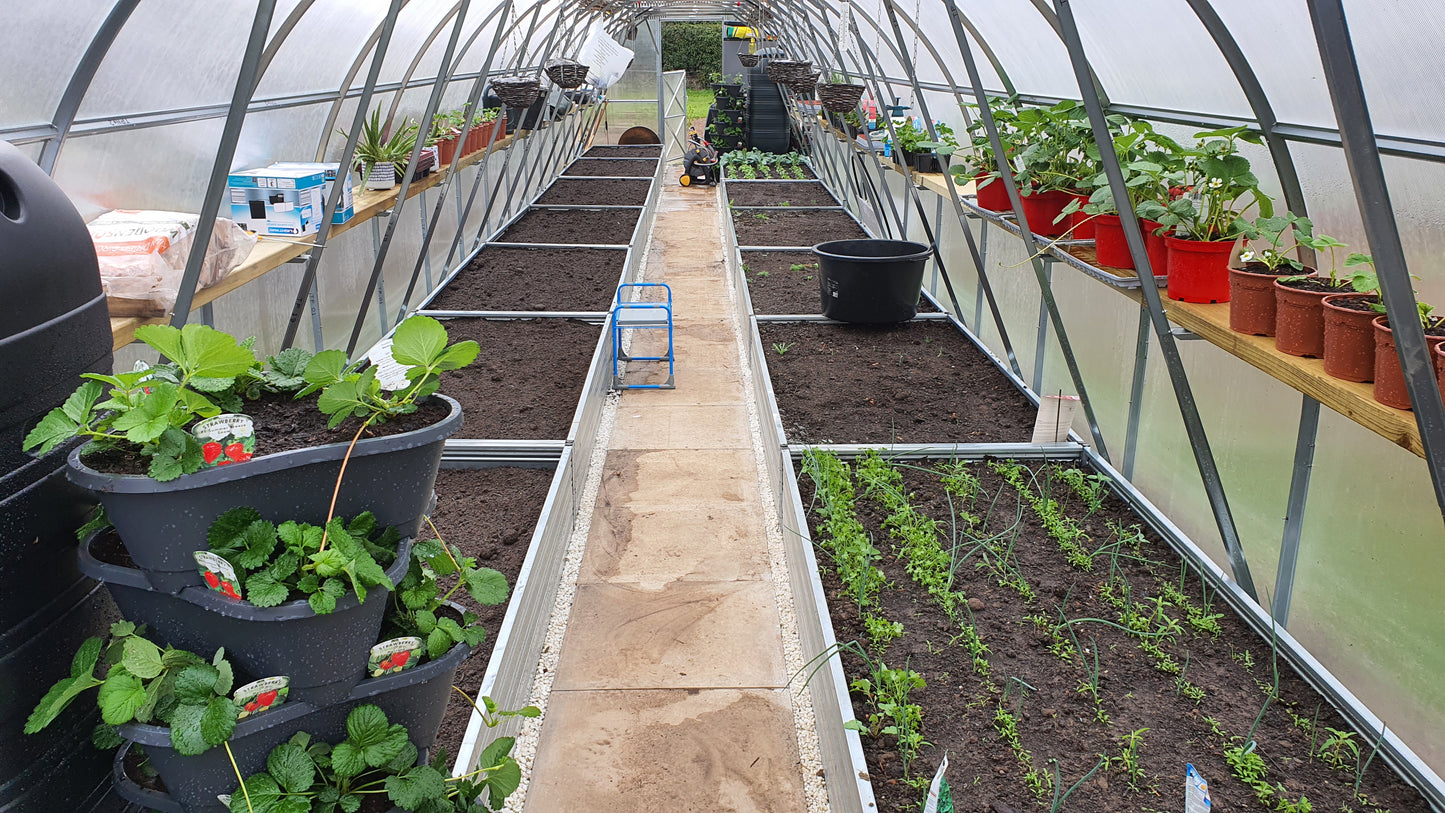STRONG PREMIUM, 36 M² (3M X 12M; 9.8FT X 39.4FT)