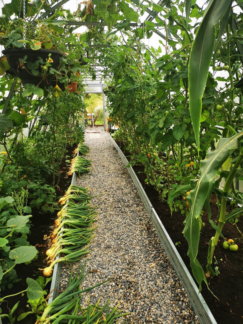 GREENHOUSE SUNGROW, 24 M² (3M X 8M; 9.8FT X 26FT)