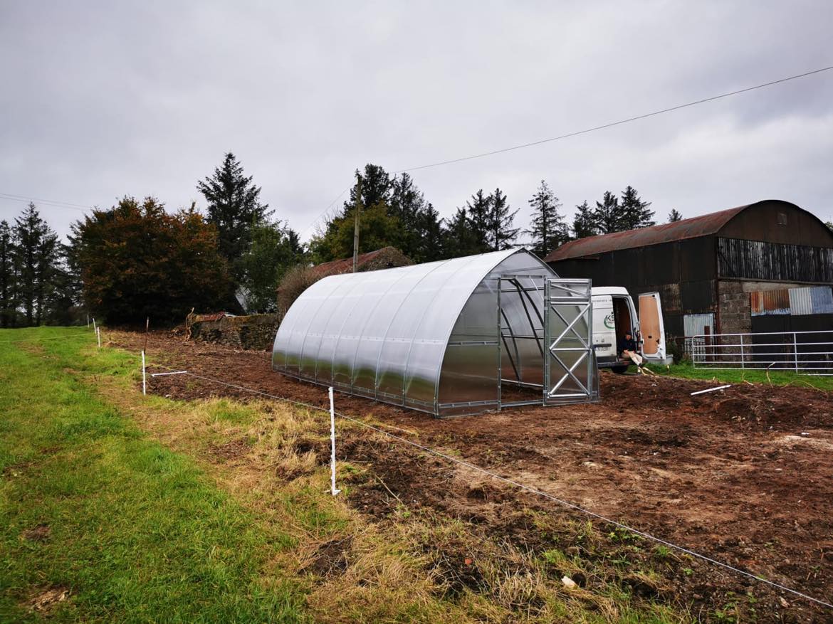 GREENHOUSE SUNGROW, 24 M² (3M X 8M; 9.8FT X 26FT)