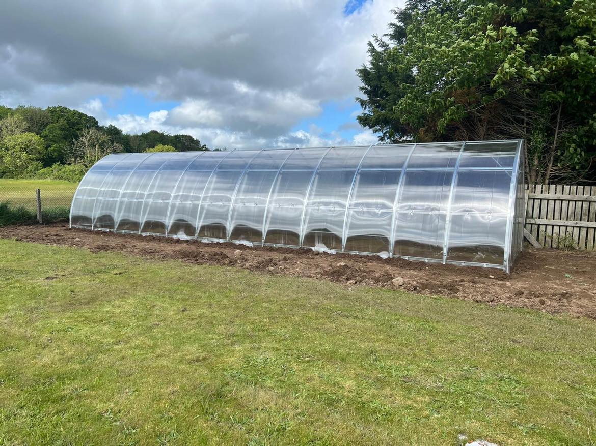 GREENHOUSE SUNGROW, 36M² (3M X 12M; 9.8FT X 39.4FT)