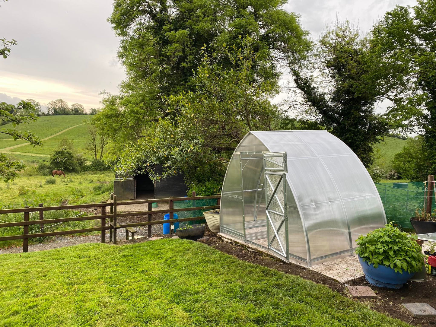 GREENHOUSE SUNGROW, 6M² (3M X 2M; 9.8FT X 6.5FT)