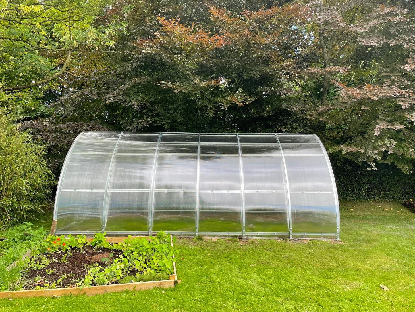 GREENHOUSE SUNGROW, 18M² (3M X 6M; 9.8FT X 19.6FT)