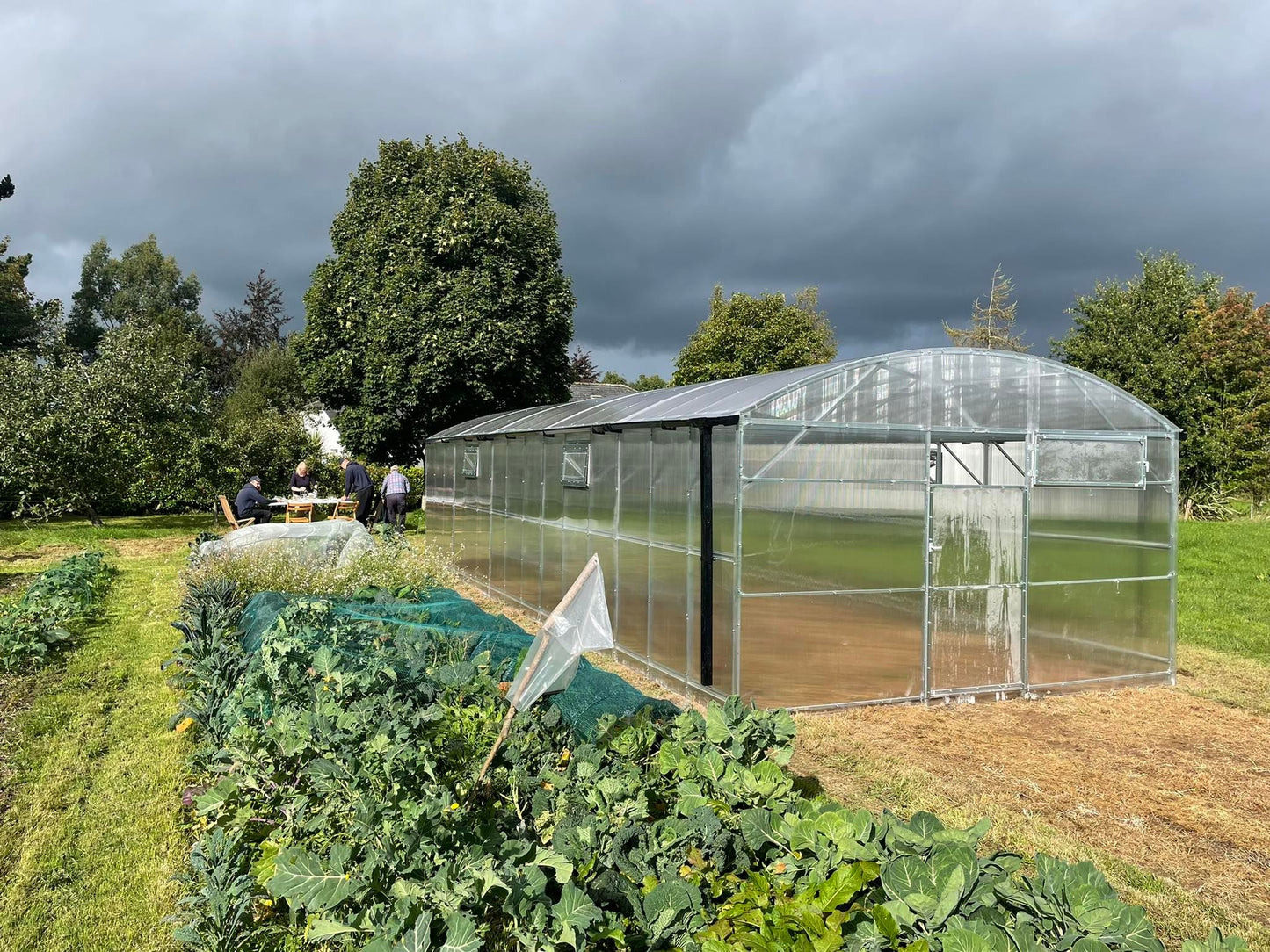 GREENHOUSE PRIMA-4 40 M² (4M X 10M; 13FT X 33FT)/ 6mm