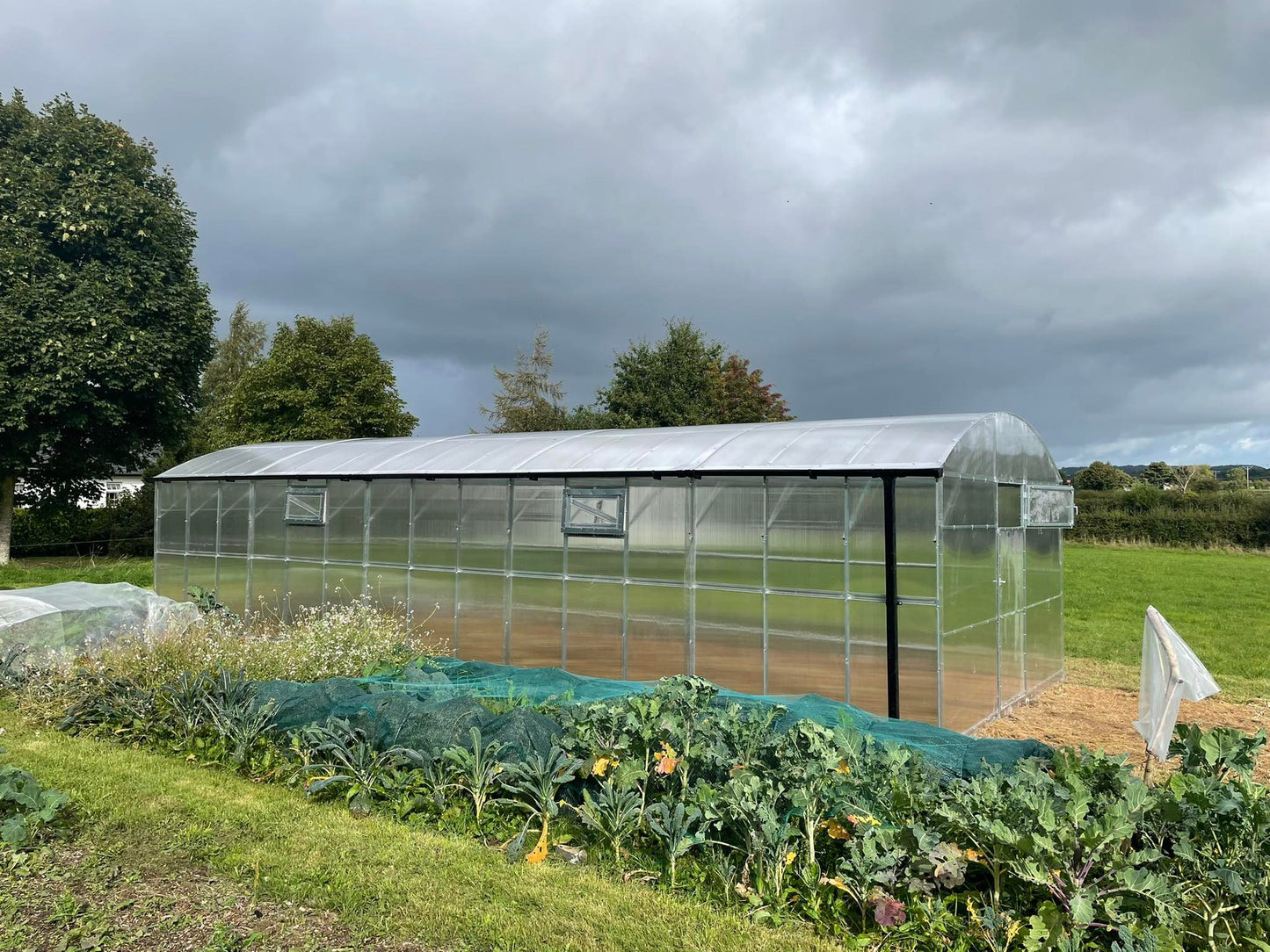 GREENHOUSE PRIMA-4 48 M² (4M X 12M; 13FT X 39.4FT)/ 6mm