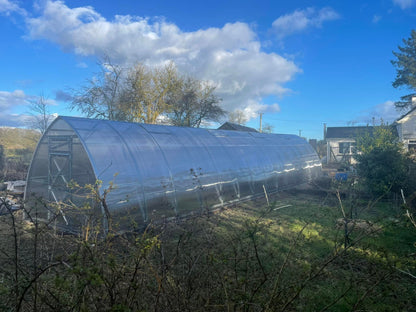 GREENHOUSE SUNGROW, 36M² (3M X 12M; 9.8FT X 39.4FT)
