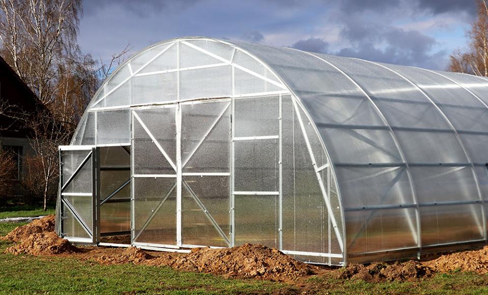 FARMER 7.5 (111.75M² - 7.5M X 14.9M; 24.6FT X 49FT)