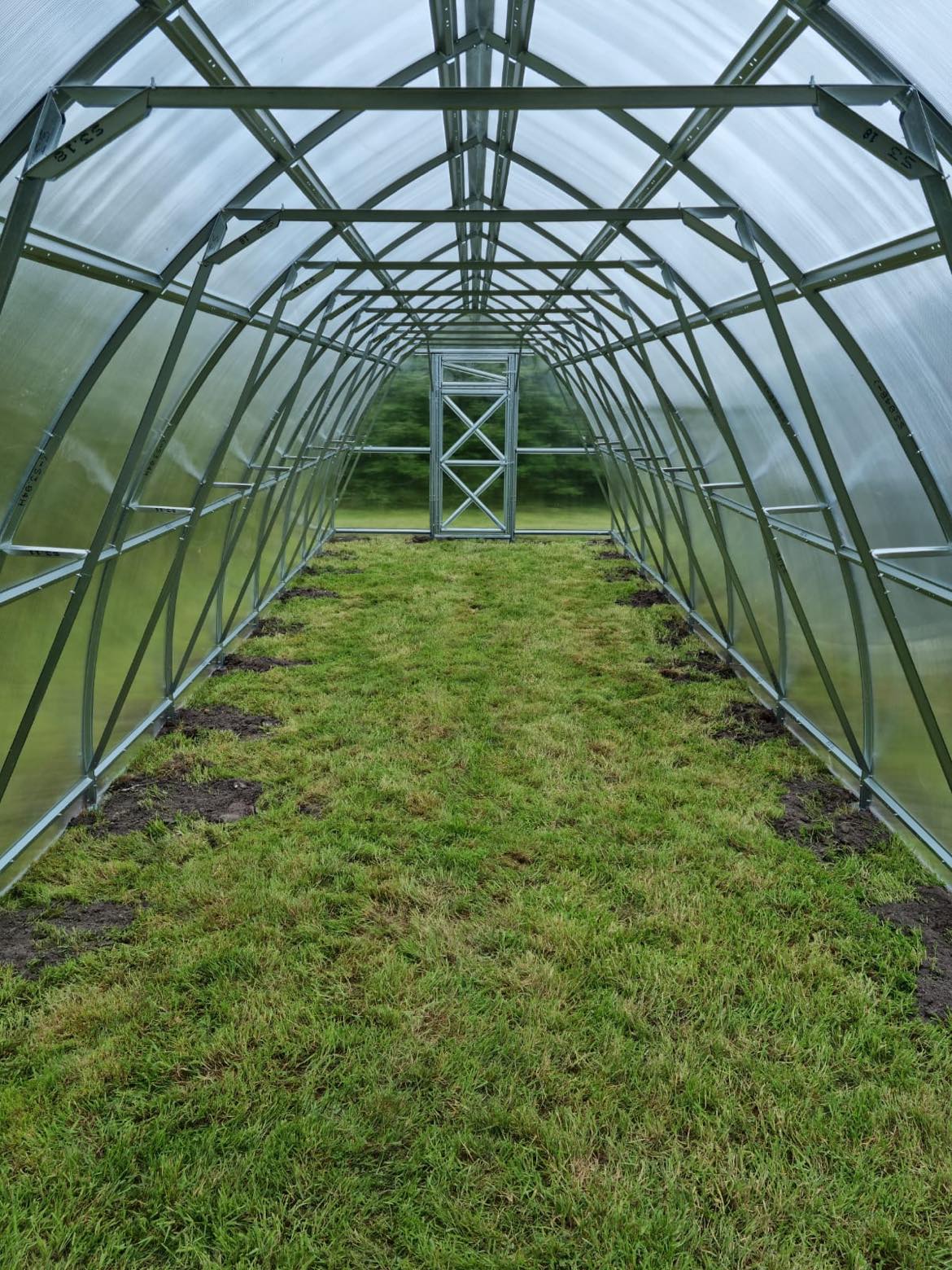 GREENHOUSE SUNGROW, 36M² (3M X 12M; 9.8FT X 39.4FT)