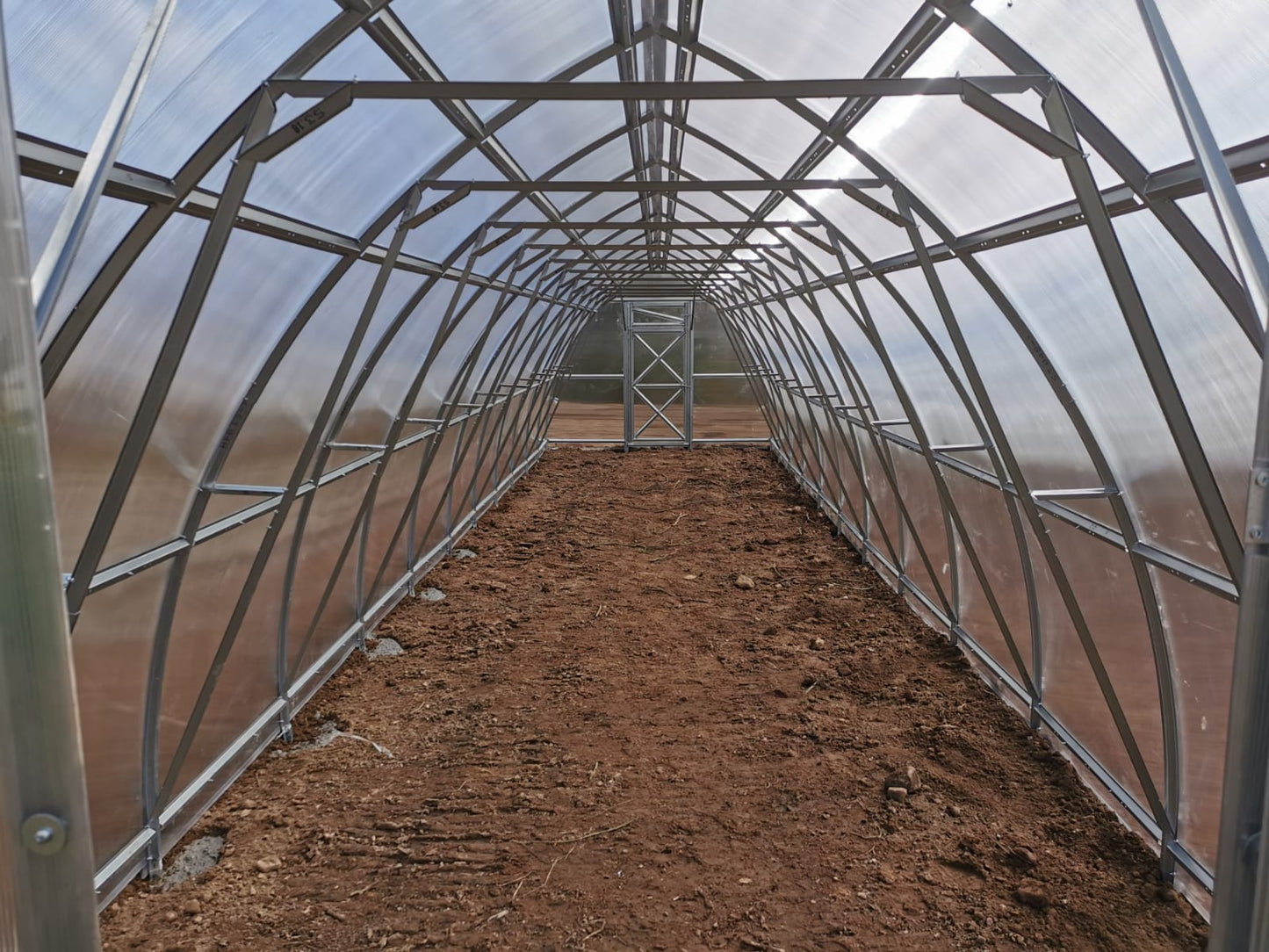 GREENHOUSE SUNGROW, 36M² (3M X 12M; 9.8FT X 39.4FT)