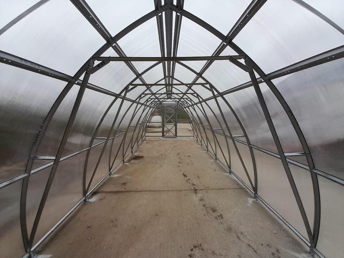 GREENHOUSE SUNGROW, 18M² (3M X 6M; 9.8FT X 19.6FT)