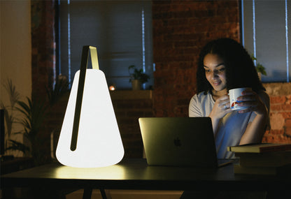 B Bulb  Indoor Outdoor Portable Lamp.