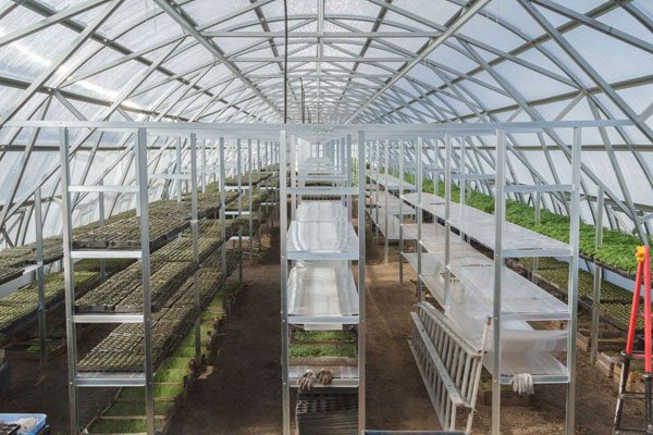 FARMER 7.5 (47.25M² - 7.5M X 6.3M; 24.6FT X 20.7FT)