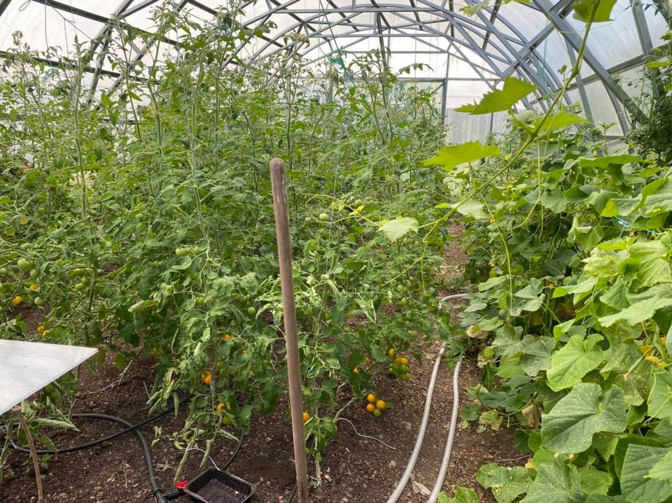 FARMER 7.5 (95.25M² - 7.5M X 12.7M; 24.6FT X 41.7FT)