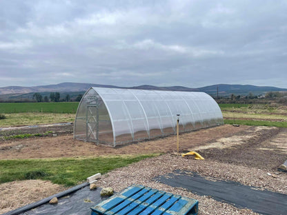 GREENHOUSE SUNGROW, 36M² (3M X 12M; 9.8FT X 39.4FT)