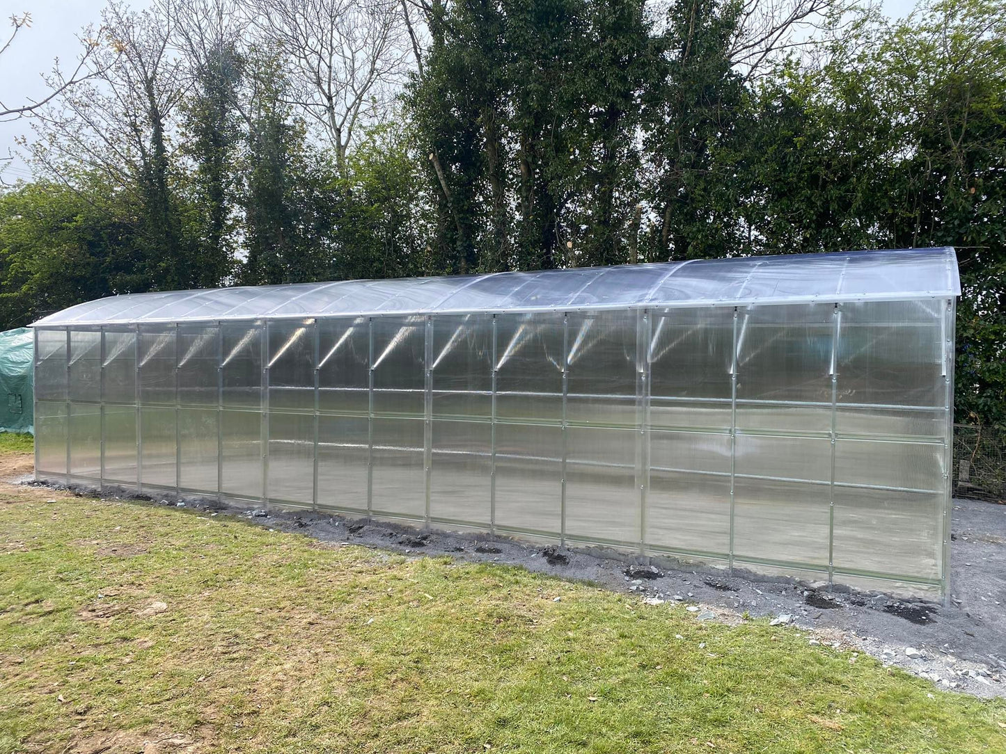 GREENHOUSE PRIMA-4 24 M² (4M X 6M; 13FT X 19.6FT)/ 6mm