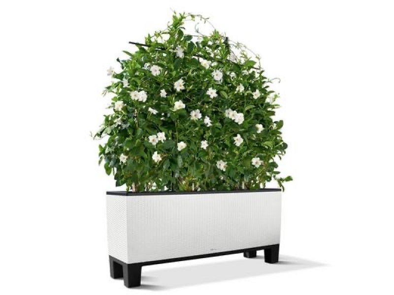 LECHUZA PEDESTALS FOR TRIO 40