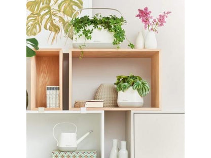 LECHUZA YULA PLANTER WHITE/GREY SEMI-GLOSS
