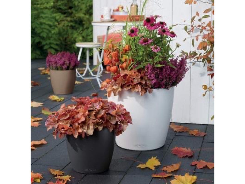 LECHUZA CLASSICO COLOR 43 WHITE